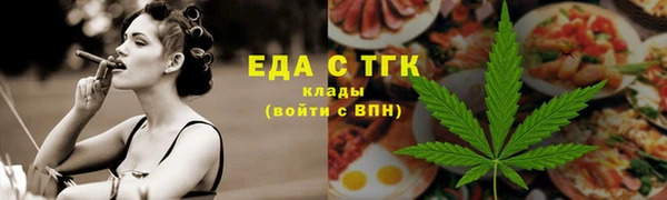 индика Тобольск