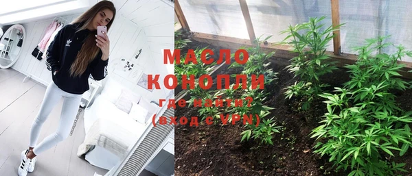 индика Тобольск