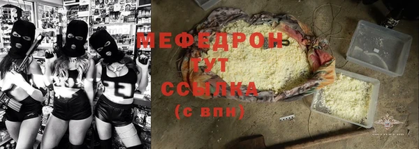 индика Тобольск